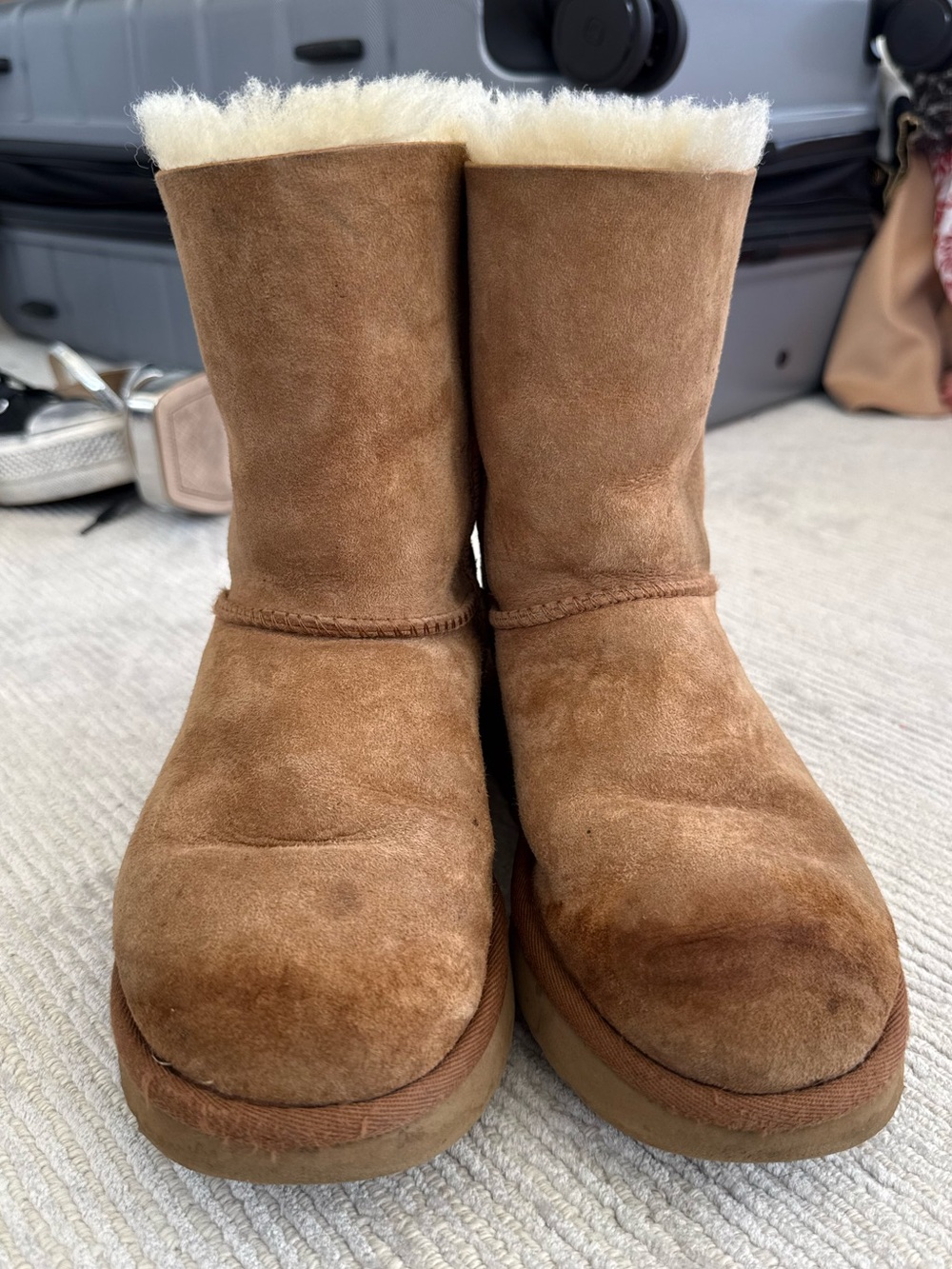 UGG Chestnut Brown Classic Short Shearling Boots